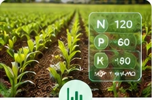 Cultivos con herramientas digitales para cálculos de fertilización